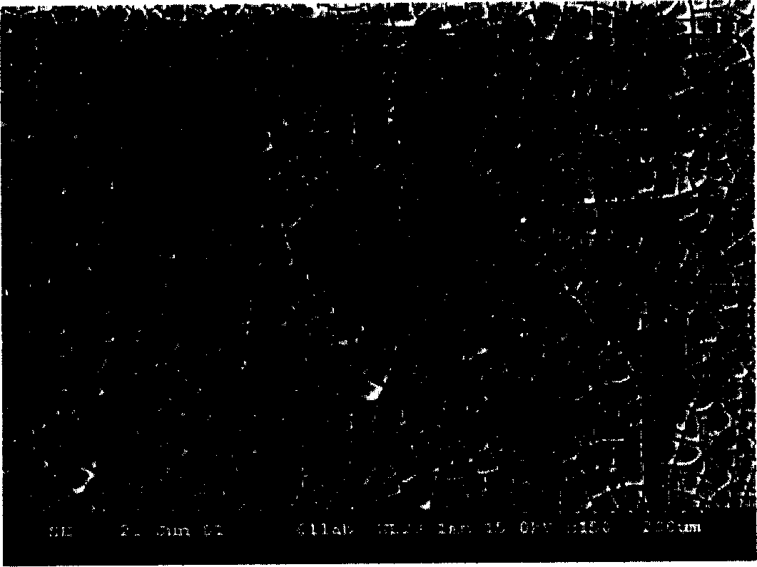 Surface treatment method of Mg alloy