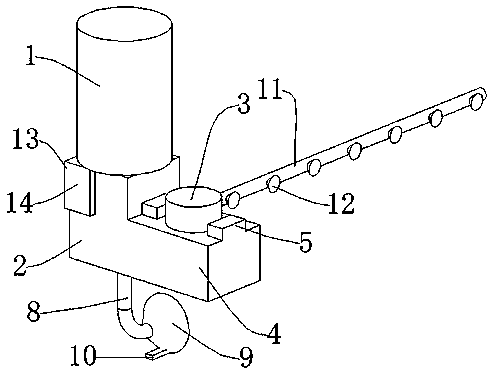 Medicine feeding device for treating loach diseases and using method thereof