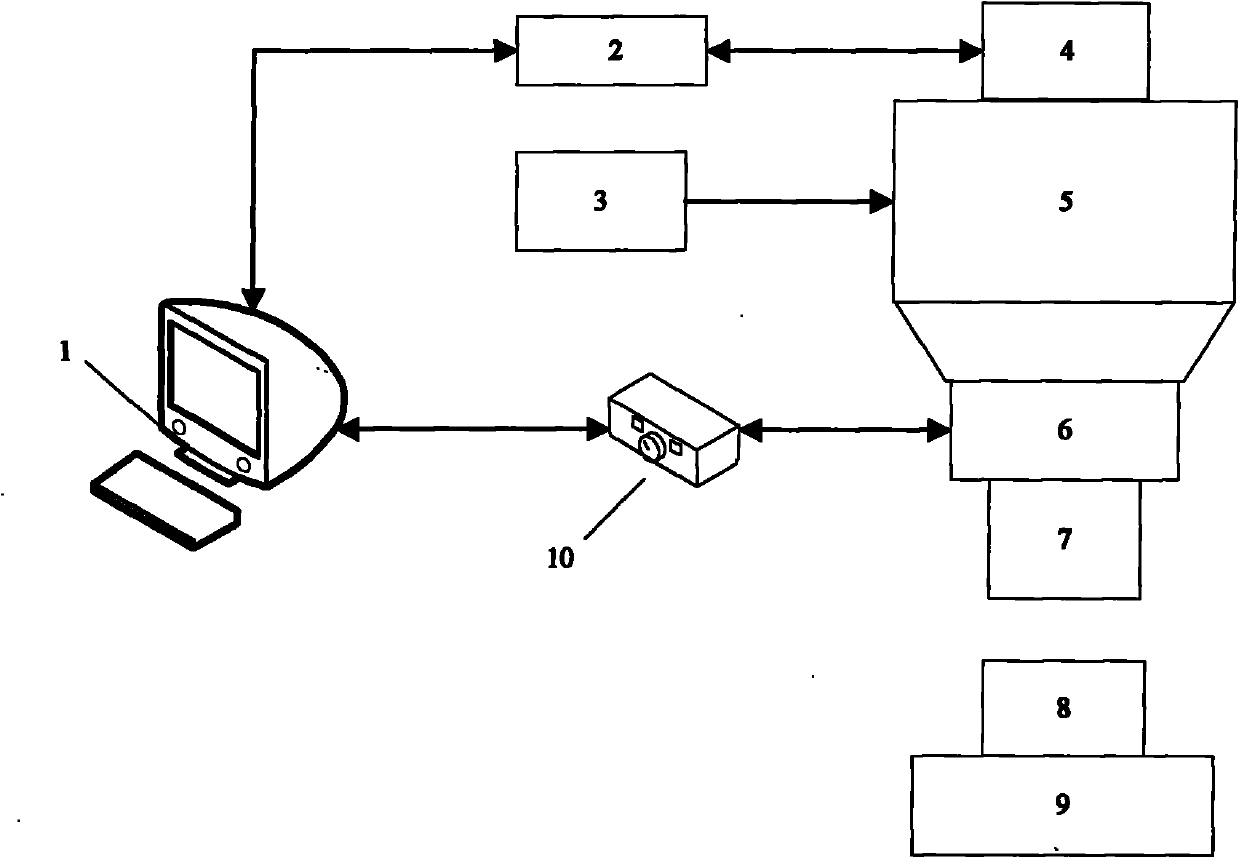 Microstructure topography test system and method based on white light phase shift interferometry