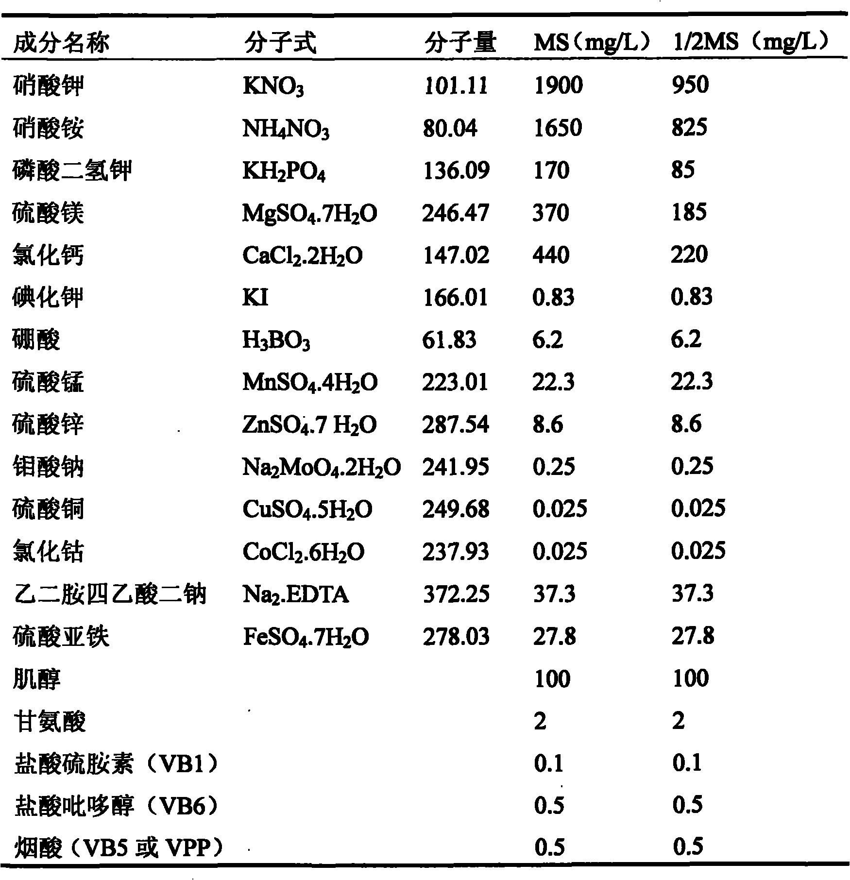 Sinkiang alkanna tinctoria cell lines and process for producing sinkiang alkanna tinctoria alkannin by cell culture