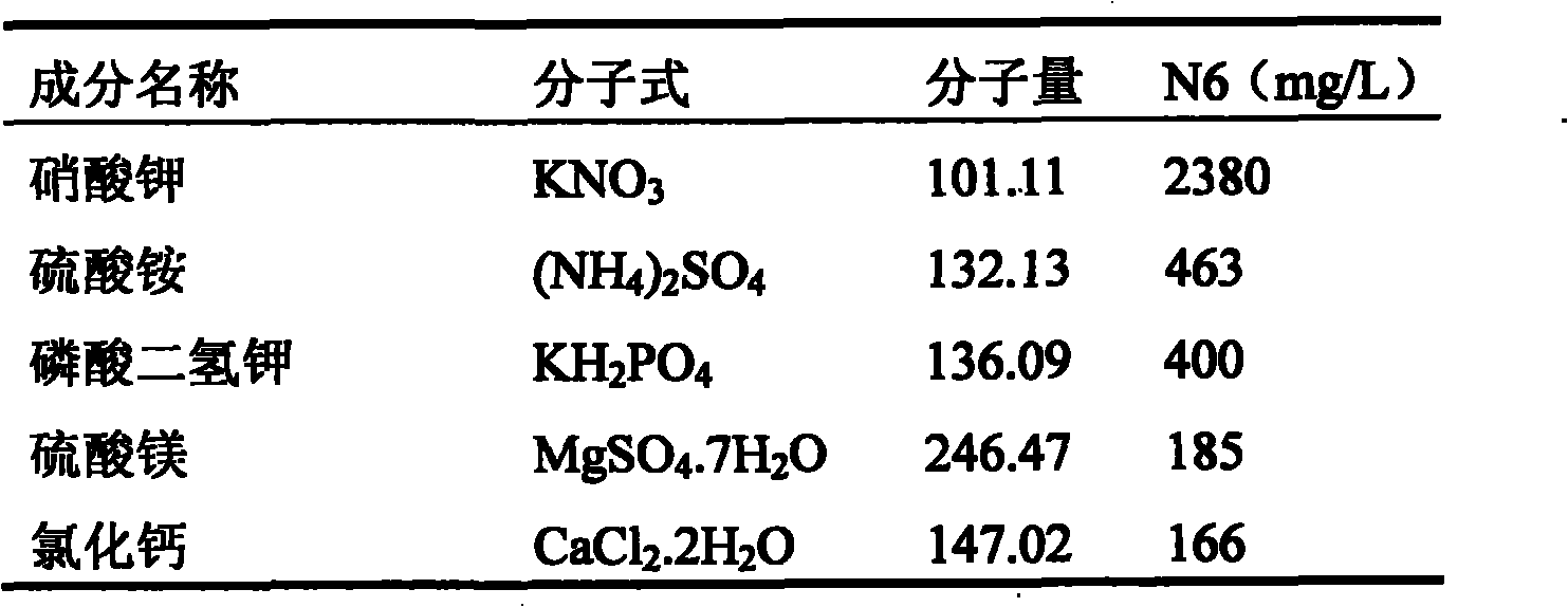 Sinkiang alkanna tinctoria cell lines and process for producing sinkiang alkanna tinctoria alkannin by cell culture