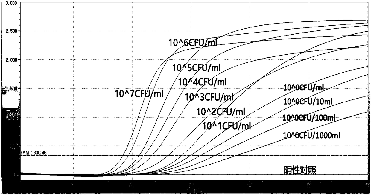 Primer probe for RNA isothermal amplification to detect cronobacter, kit and detection method