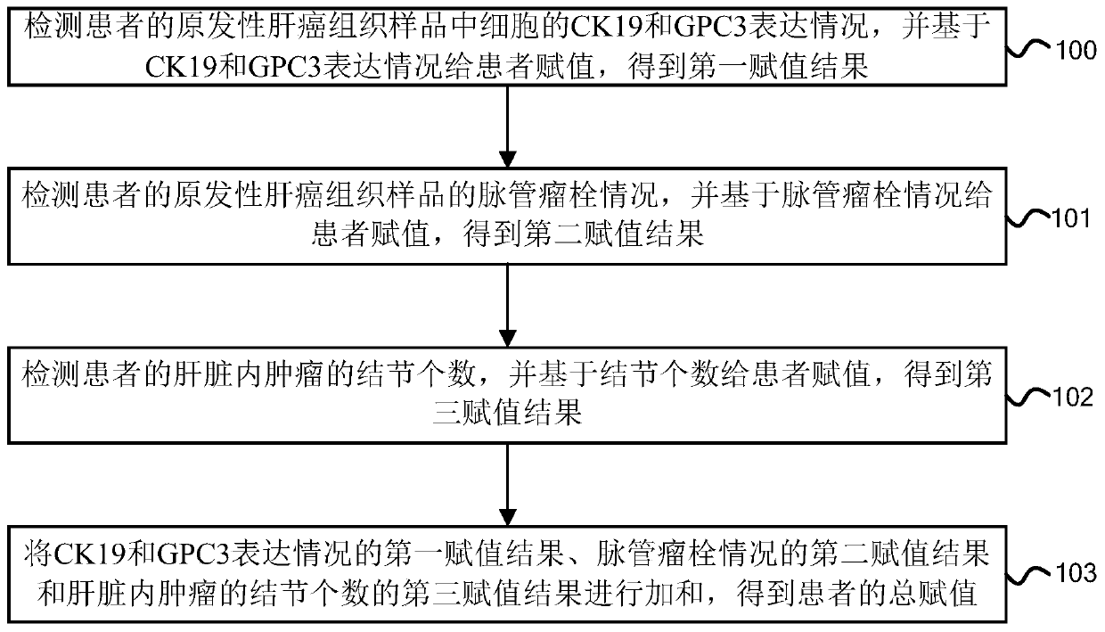 Prognosis condition grouping method for primary liver cancer radical resection, device and system