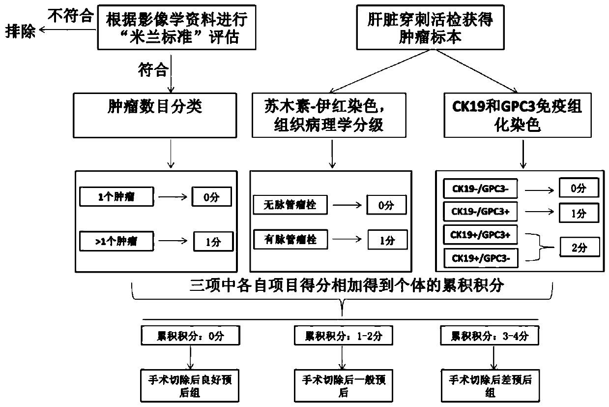 Prognosis condition grouping method for primary liver cancer radical resection, device and system