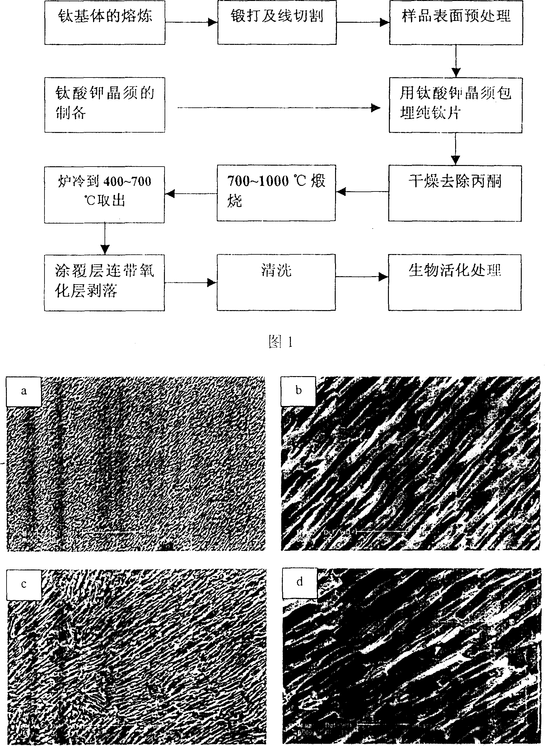 Method for preparing surface microporous titanium of titanium-based biological medical material