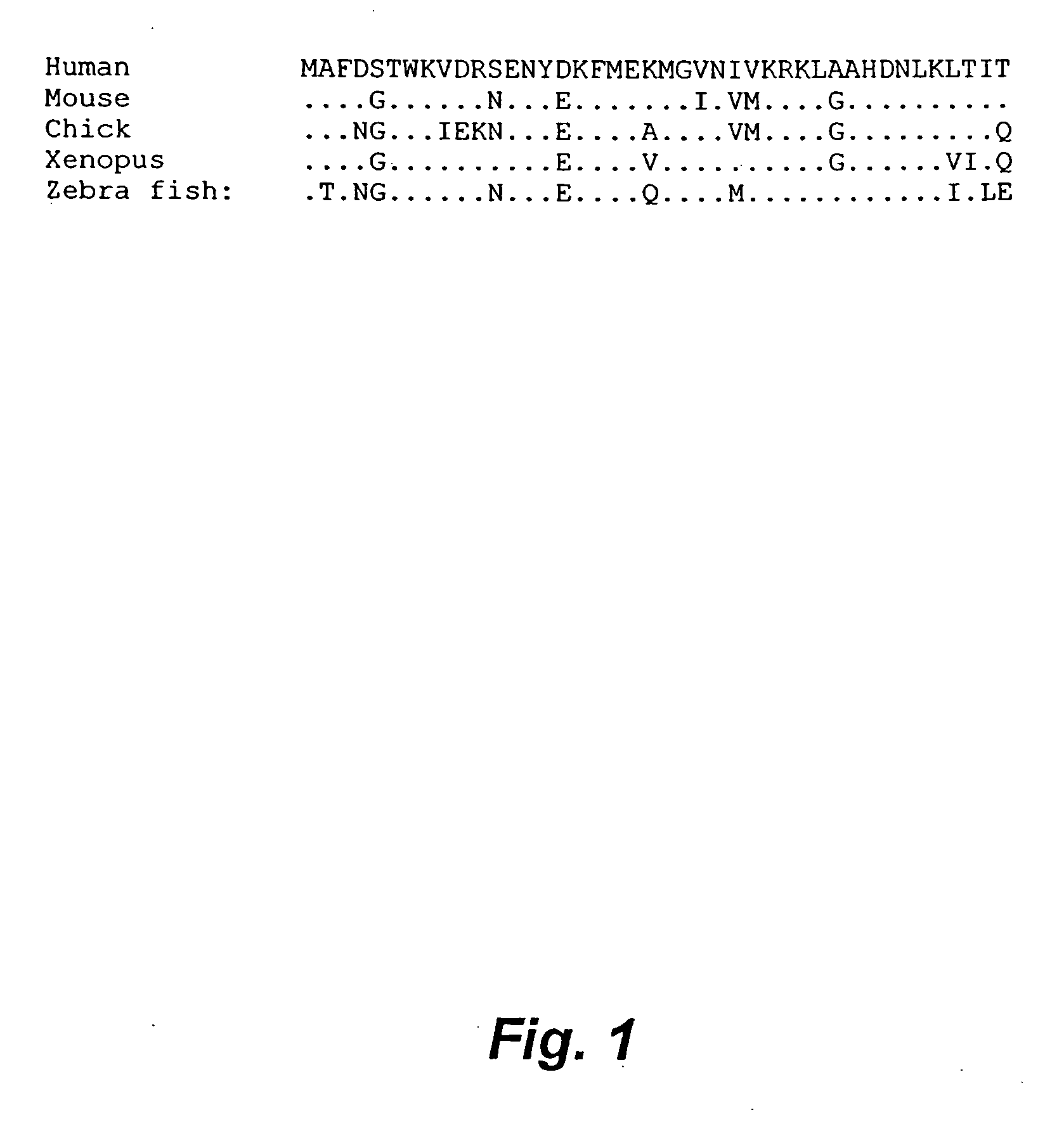 Gene expression in transgenic avians