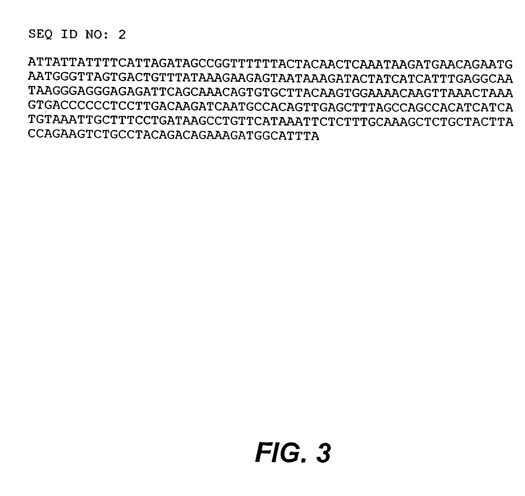 Gene expression in transgenic avians