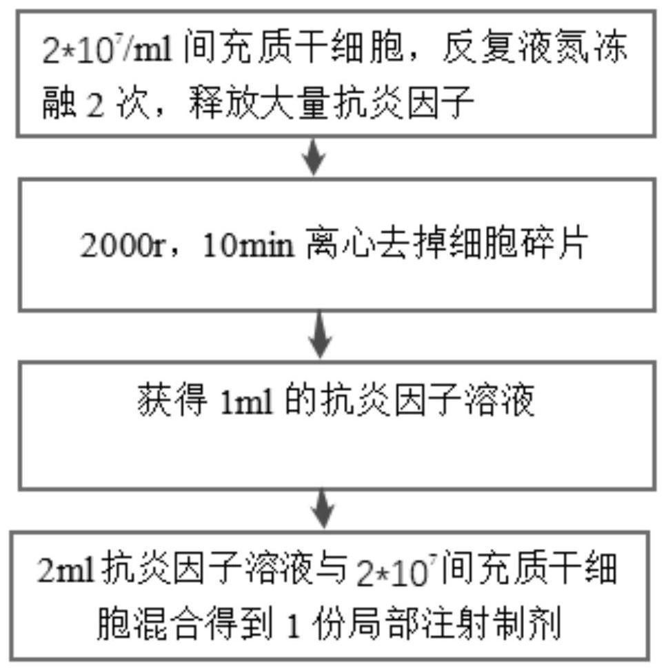 Method for delaying chronic bone injury by using umbilical cord mesenchymal stem cells