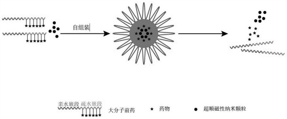 Composite prodrug nanocarrier and preparation method for reversing tumor drug resistance