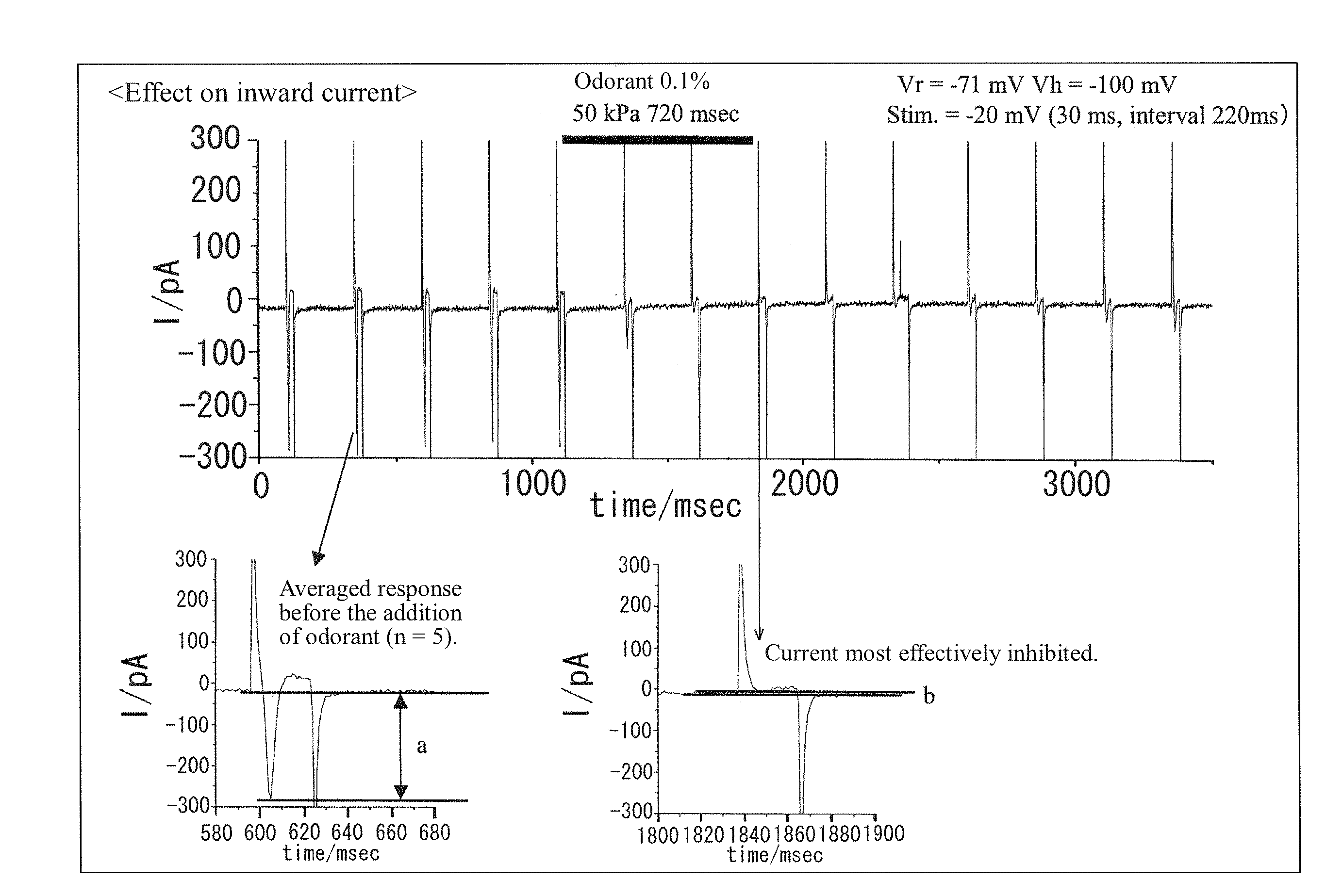 Method for Screening Olfactory Sensibility Inhibitor