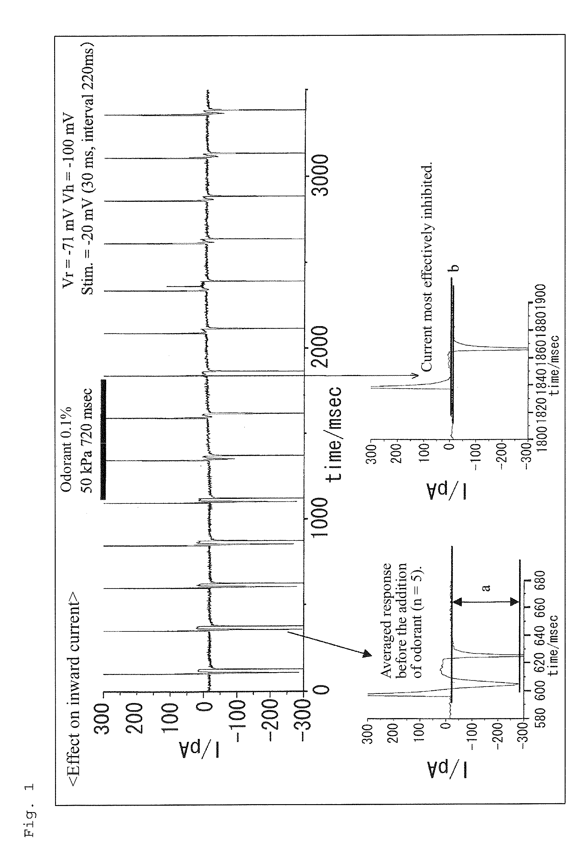 Method for Screening Olfactory Sensibility Inhibitor