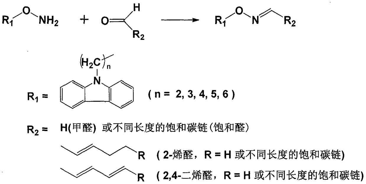 A kind of preparation and purification method of O-substituted hydroxylamine fluorescence derivatization reagent