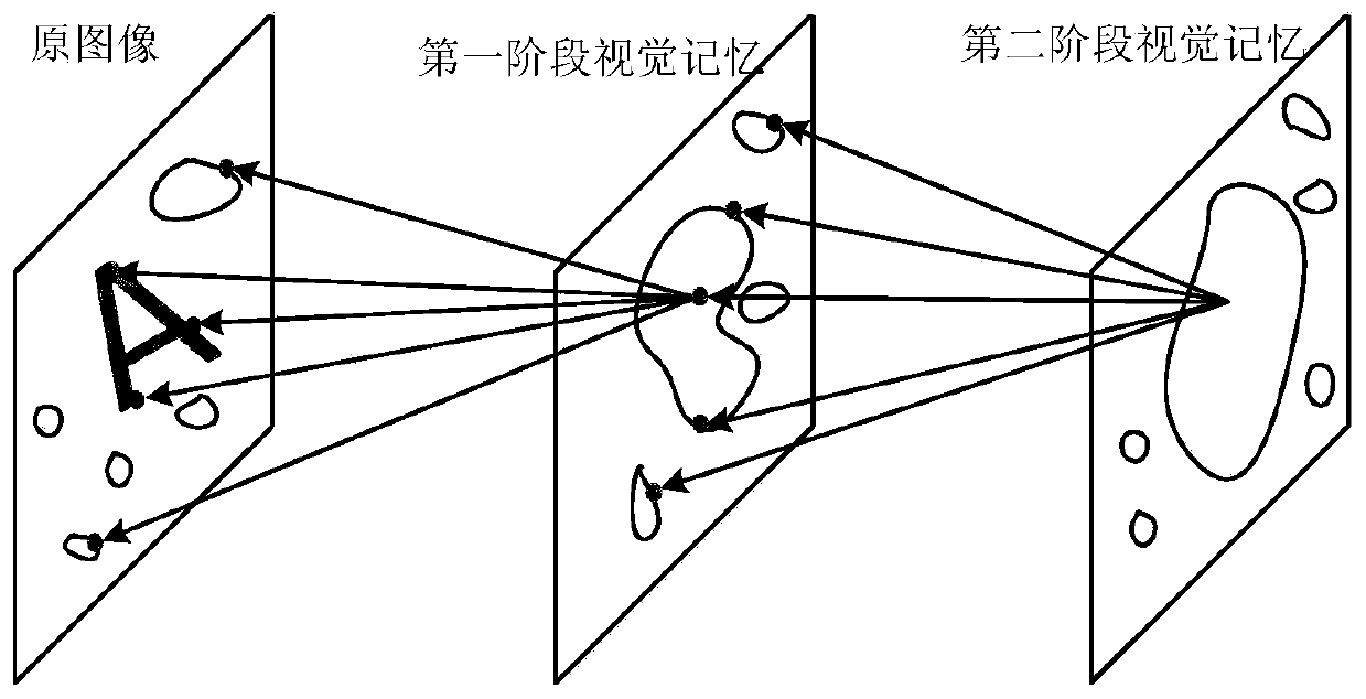 A multi-channel biomimetic vision method for complex scene image recognition