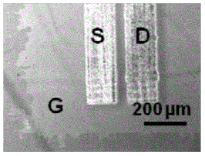 Preparation method for printing independent carbon nano tube thin film transistor in large area