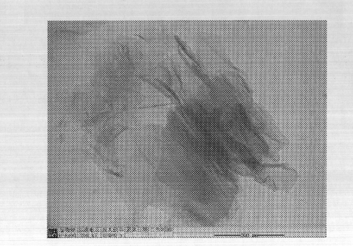 Preparation method of aminosilane-functionalized graphene reinforced silica gel