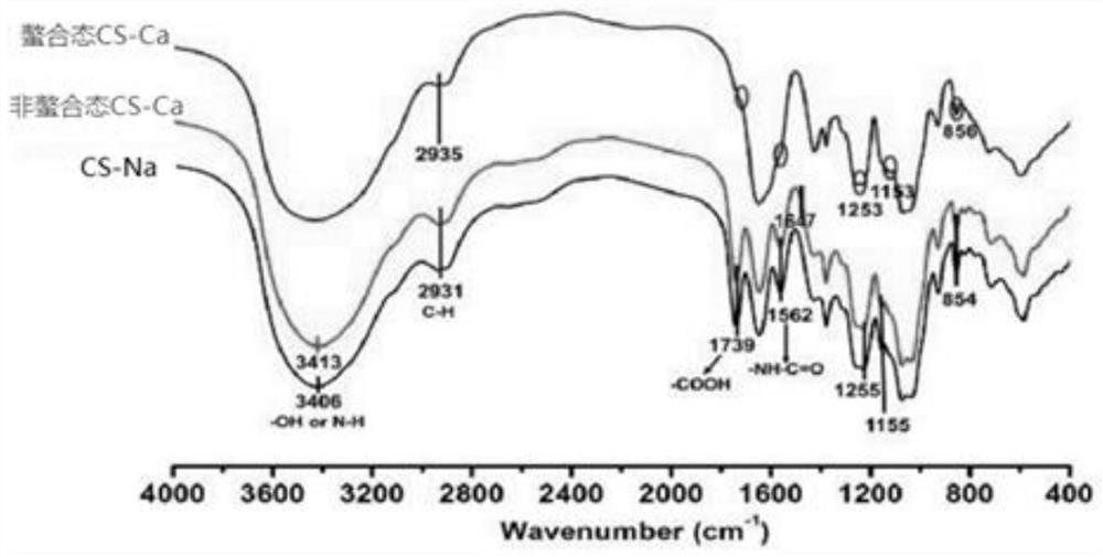 Preparation process of chondroitin sulfate chelated calcium with anti-osteoporosis function