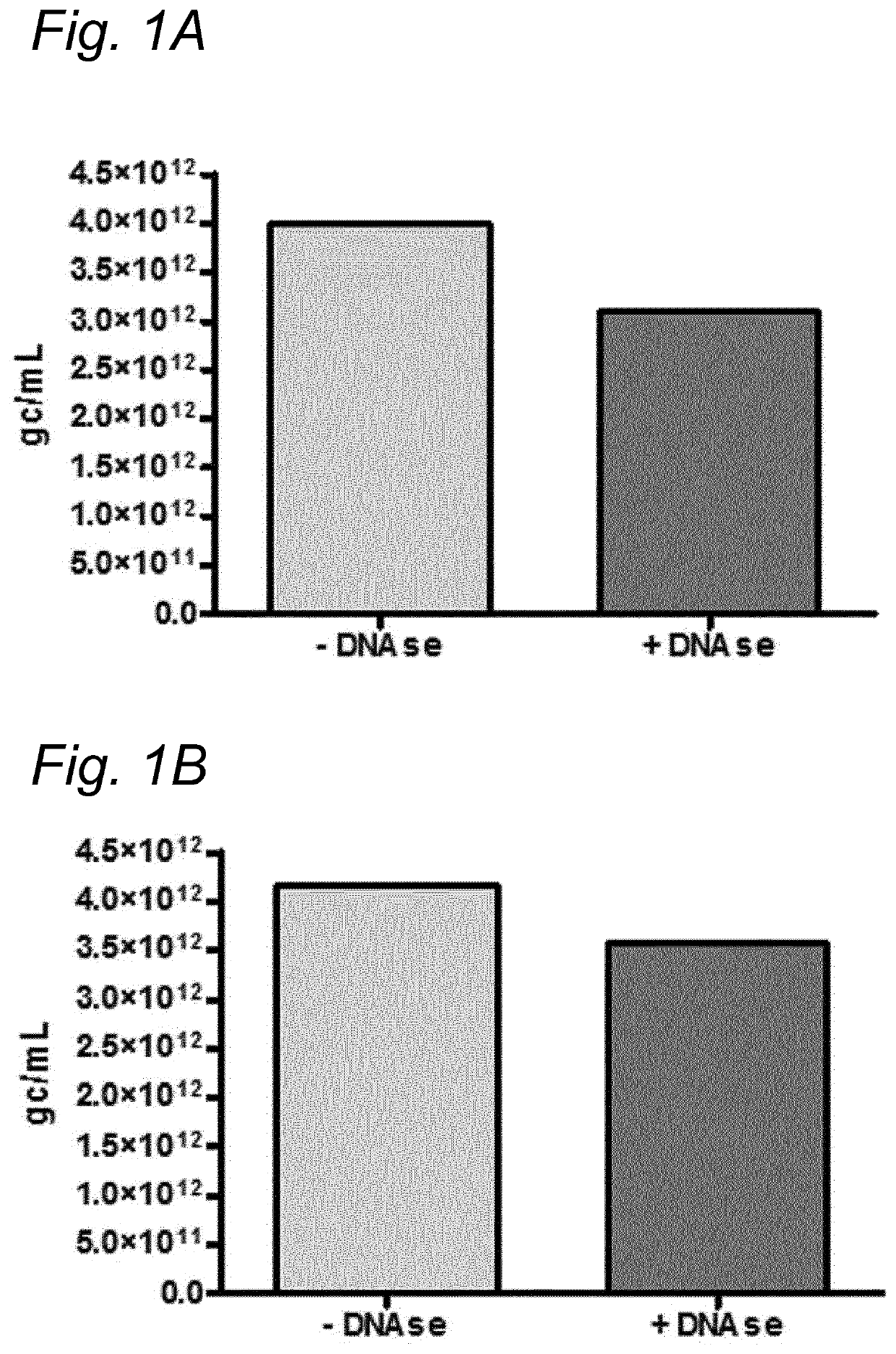 DNA impurities in a composition comprising a parvoviral virion