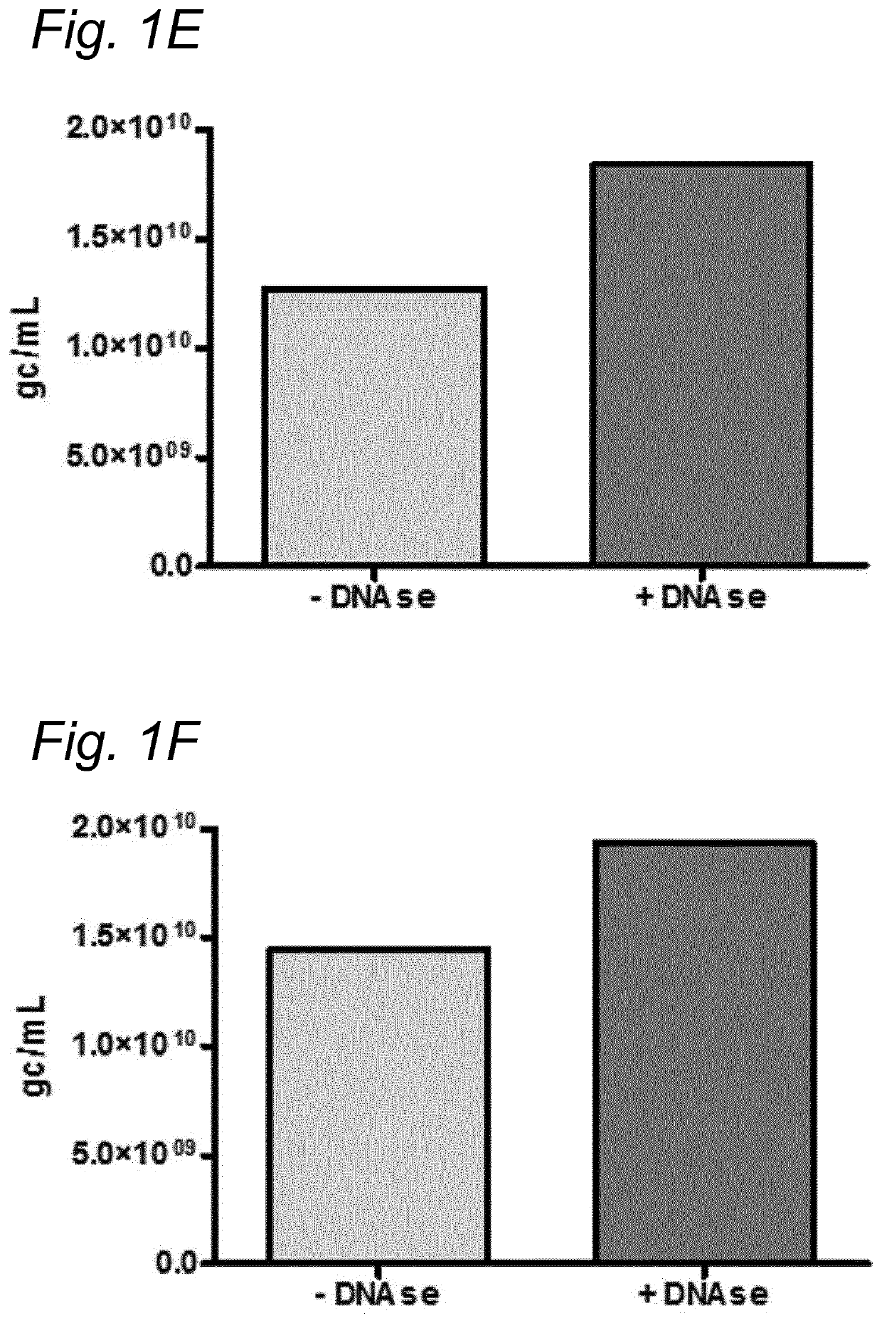 DNA impurities in a composition comprising a parvoviral virion