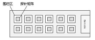 Lyssa virus diagnosing and typing chip and manufacturing method thereof