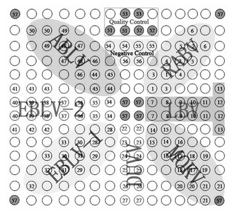 Lyssa virus diagnosing and typing chip and manufacturing method thereof