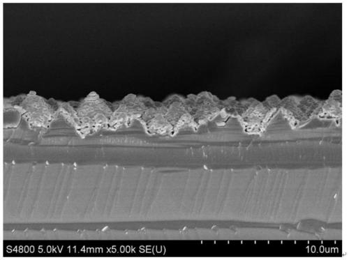 Method for preparing perovskite solar cell on micron-sized large suede