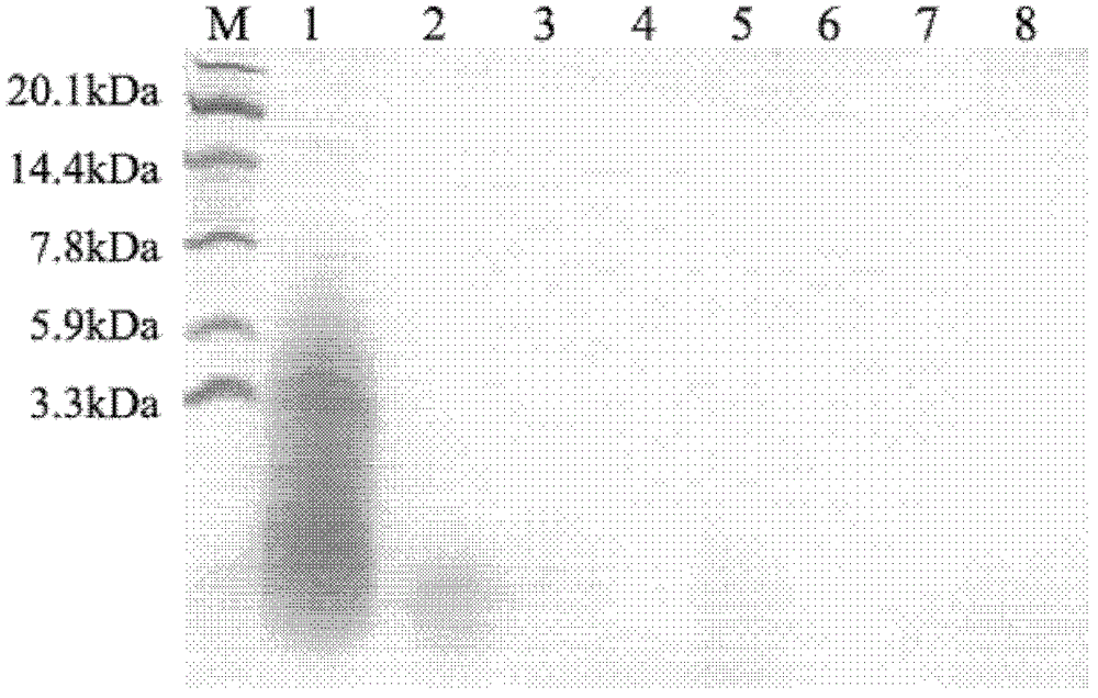 Functional polypeptide and application thereof