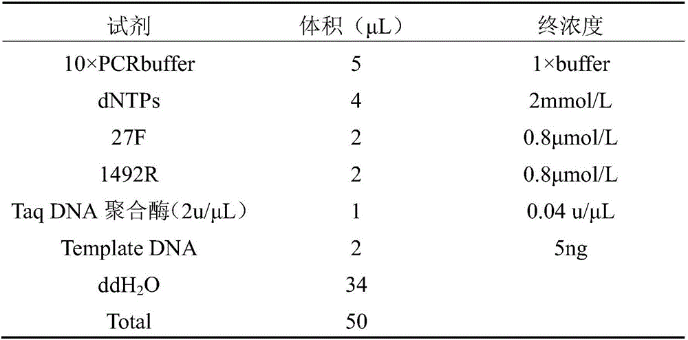 Polycyclic aromatic hydrocarbon degrading bacterium and applications thereof