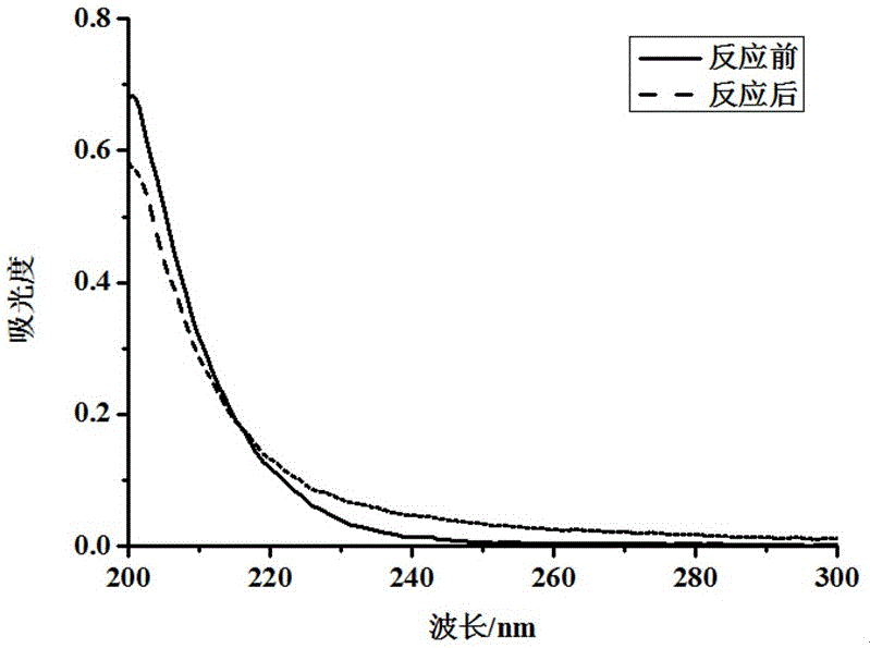 Preparation of dendritic molecule-modified hydrophilic immunomagnetic beads and application of hydrophilic immunomagnetic beads to rapid and efficient cell capture