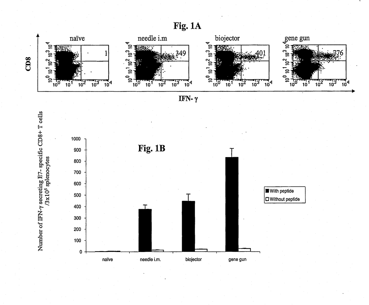 Anti-Cancer DNA Vaccine Employing Plasmids Encoding Signal Sequence, Mutant Oncoprotein Antigen, and Heat Shock Protein