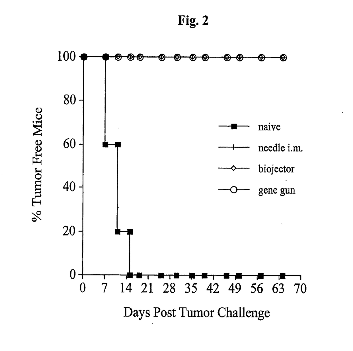 Anti-Cancer DNA Vaccine Employing Plasmids Encoding Signal Sequence, Mutant Oncoprotein Antigen, and Heat Shock Protein