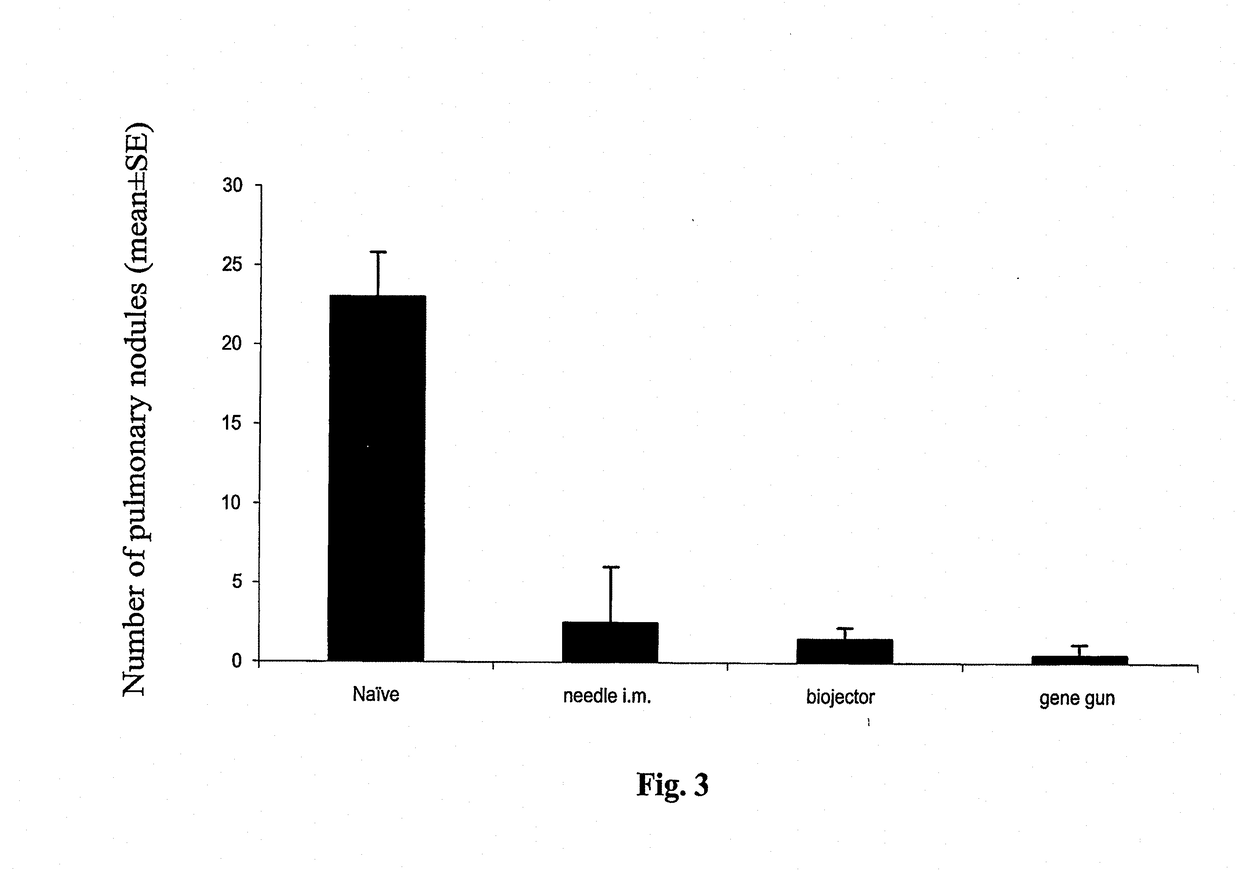 Anti-Cancer DNA Vaccine Employing Plasmids Encoding Signal Sequence, Mutant Oncoprotein Antigen, and Heat Shock Protein