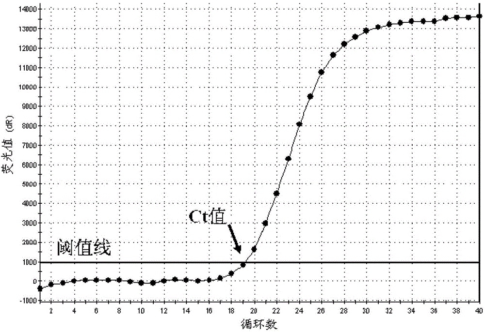 Typhoid fever salmonella and salmonella paratyphi fluorescent quantitative polymerase chain reaction (PCR) detection kit and application thereof