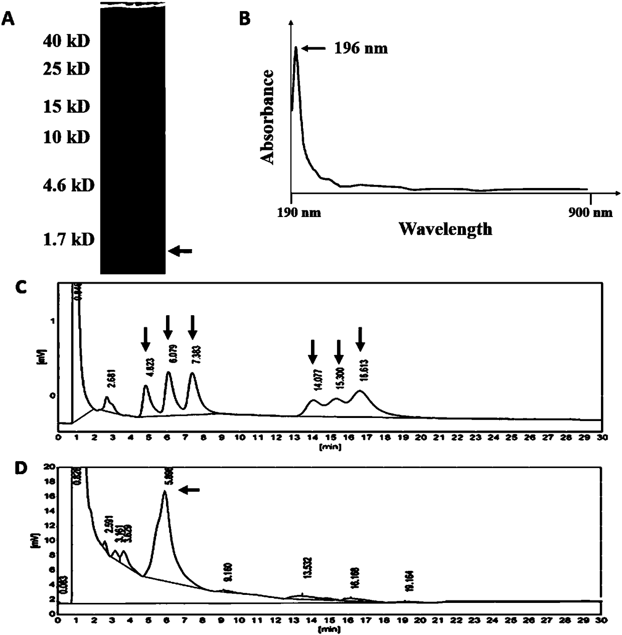 A single-stranded DNA aptamer that specifically binds (1,3)-β-d-glucan in Candida albicans