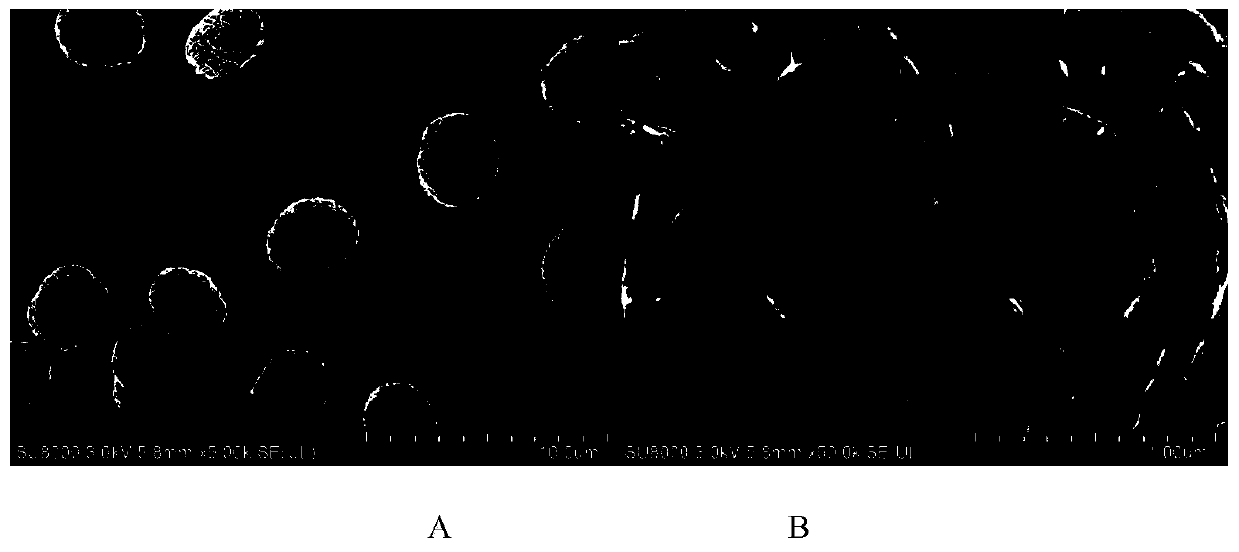 High-nickel ternary precursor with polycrystalline structure and preparation method of high-nickel ternary precursor