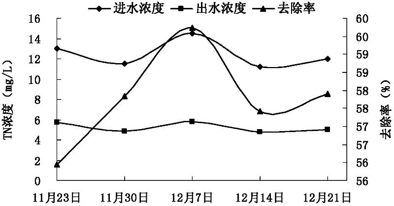 Application of pokeberry root in purifying livestock and poultry breeding biogas slurry