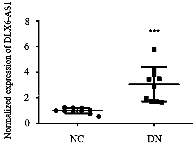 Breeding method for transgenic mouse with conditional knockout of lncRNA DLX6-os1