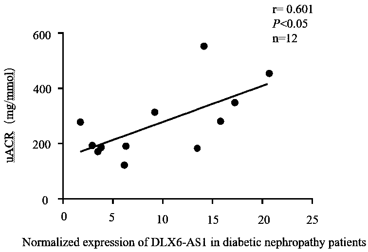 Breeding method for transgenic mouse with conditional knockout of lncRNA DLX6-os1