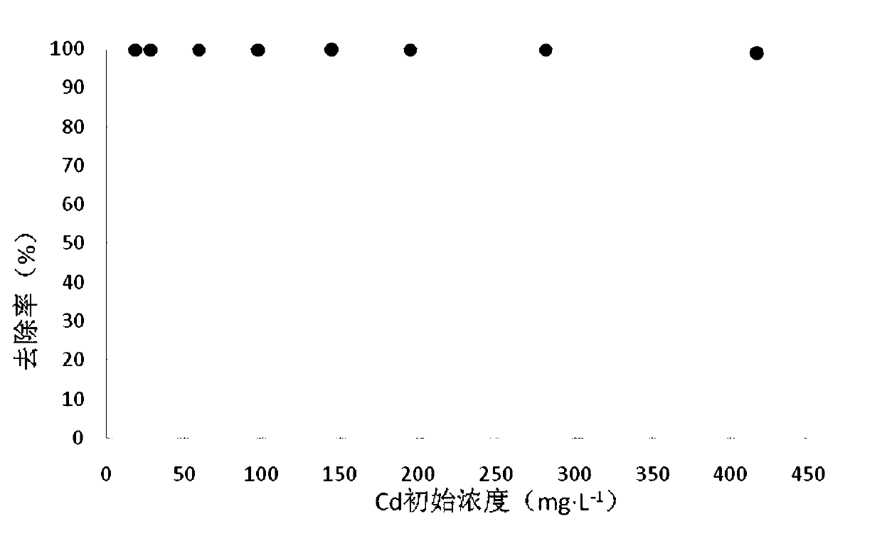 A heavy metal mesoporous adsorption material based on molybdenum ore tailings as raw material and its preparation method and application