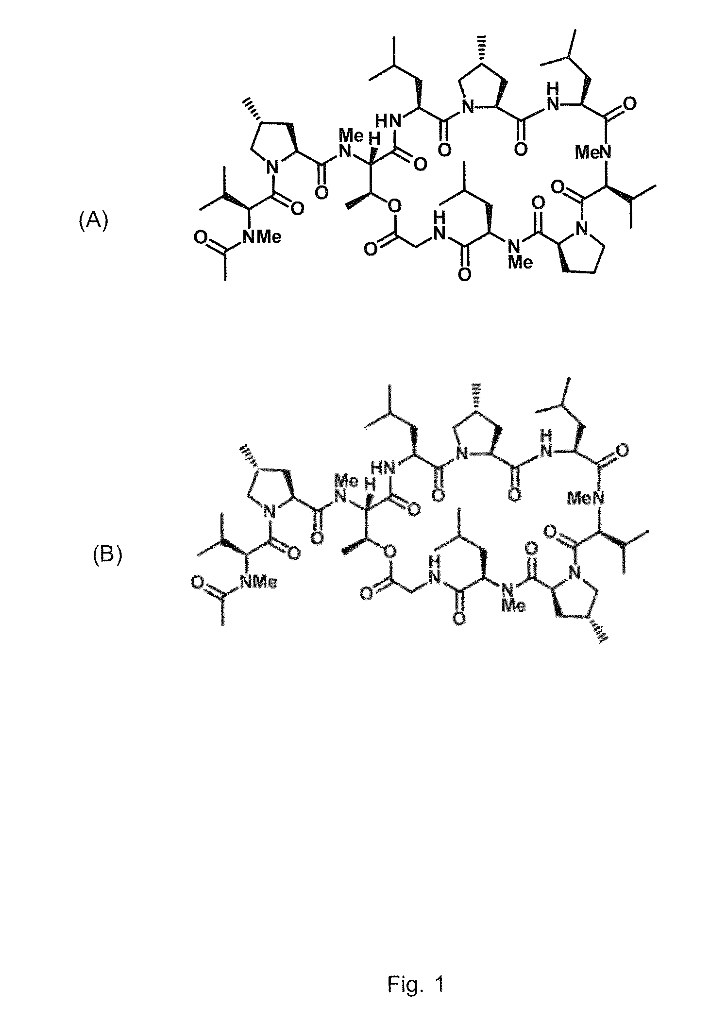 Gene cluster for biosynthesis of griselimycin and methylgriselimycin