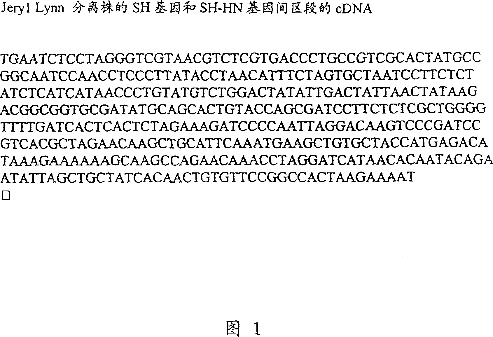 Vaccine against mumps containing a JERYL-LYNN virus strain