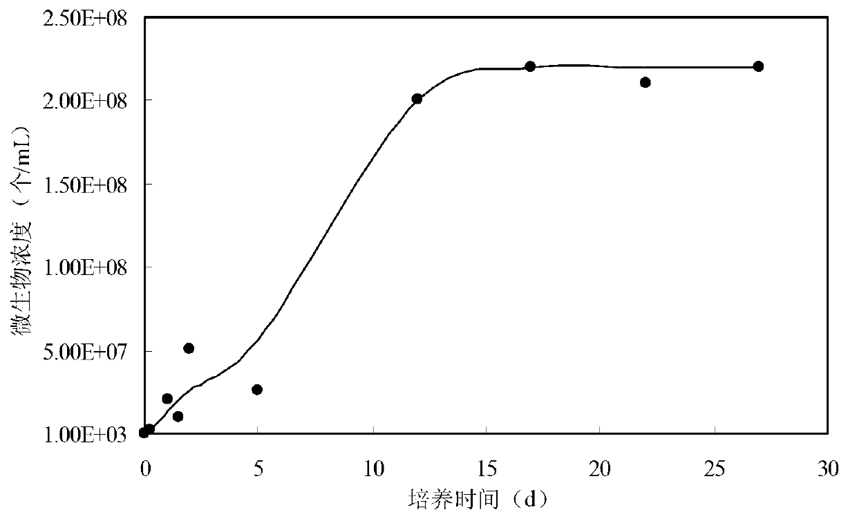 Microorganism oil displacement numerical simulation method