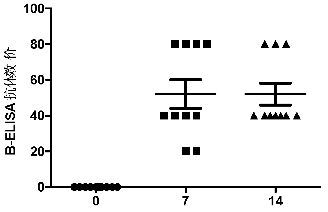 Duck tembusu virus low virulent strain and application thereof