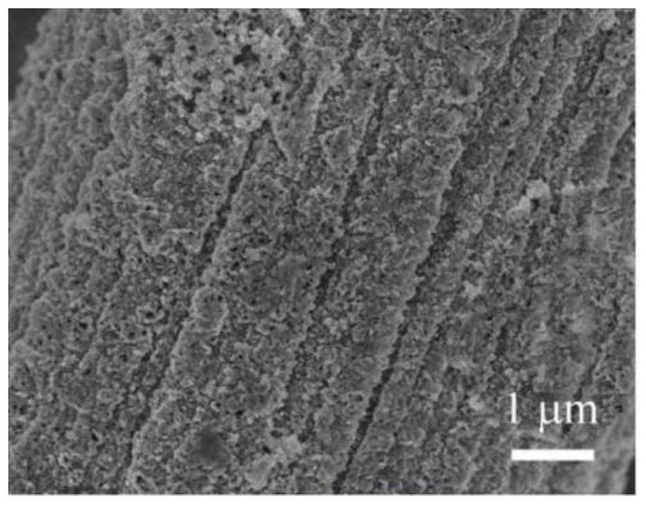 Preparation method of LiFeXCo1-XPO4/N-C/CC composite material