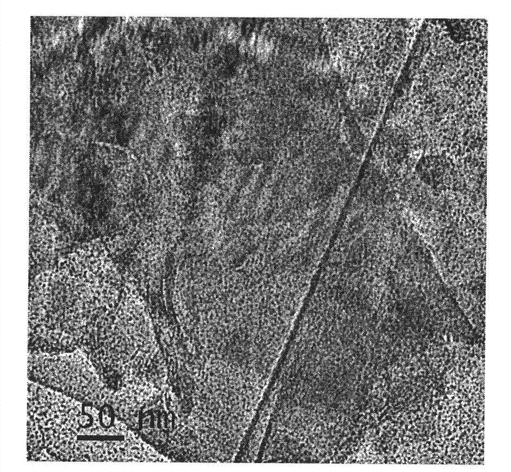 Nano-precious metal catalyst and preparation method thereof