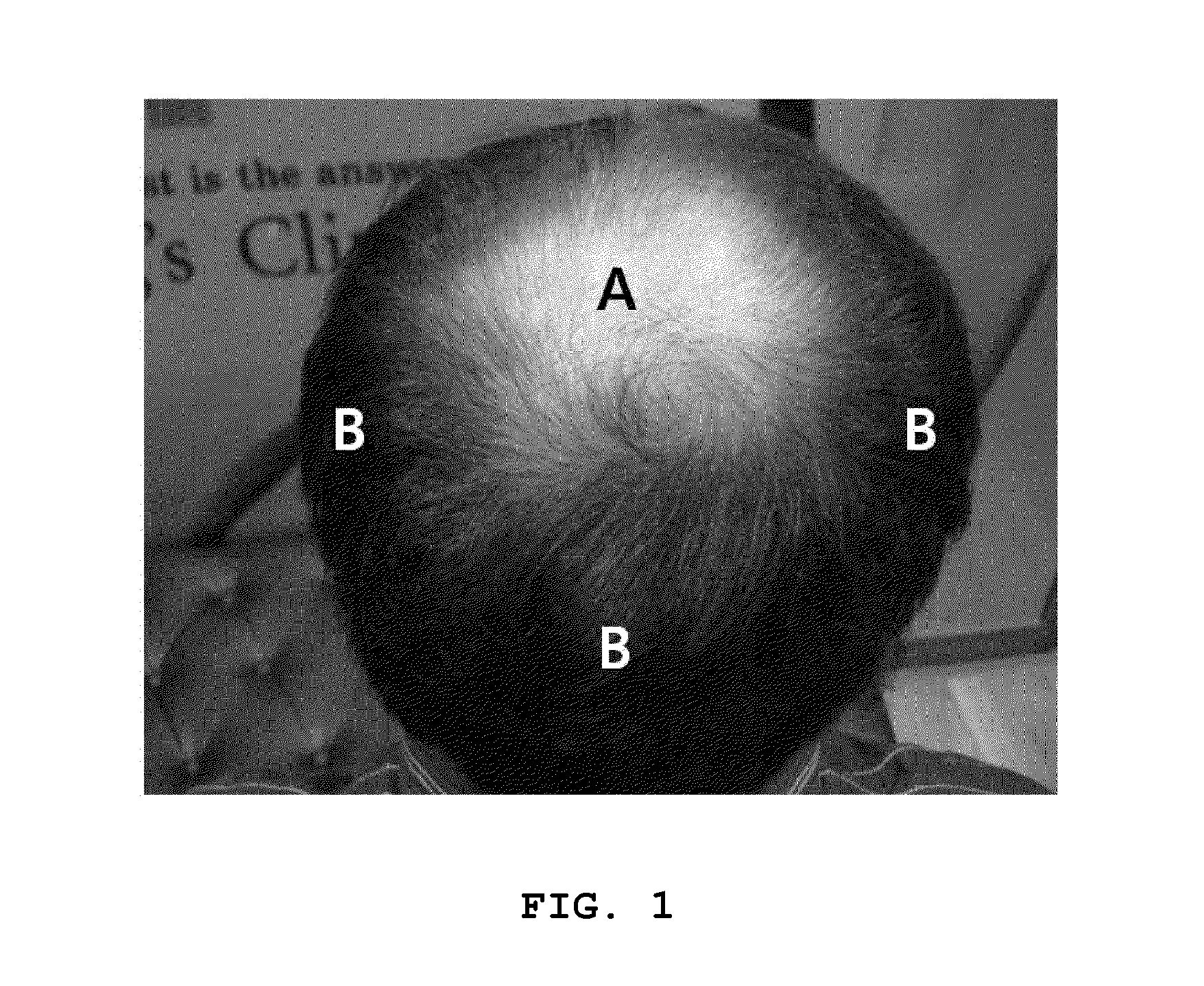 Anti-uv composition for protecting scalp