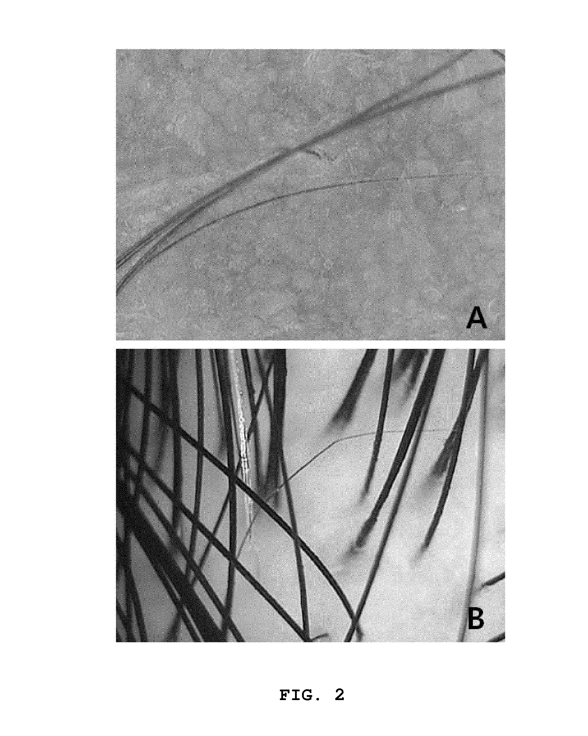 Anti-uv composition for protecting scalp