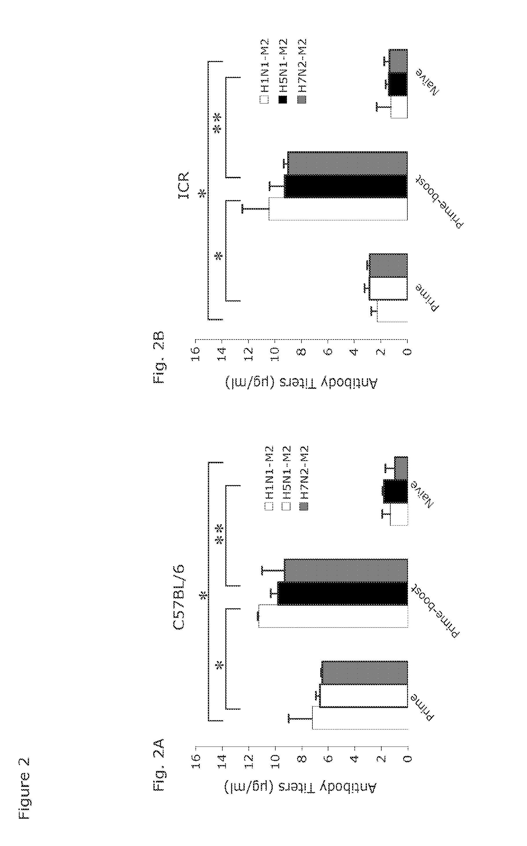 Universal influenza  a vaccines