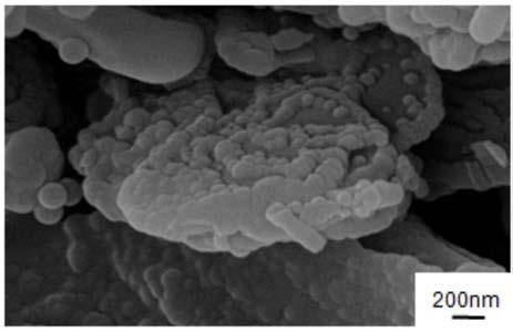 Modified hexagonalboron nitride powder and preparation method and application thereof