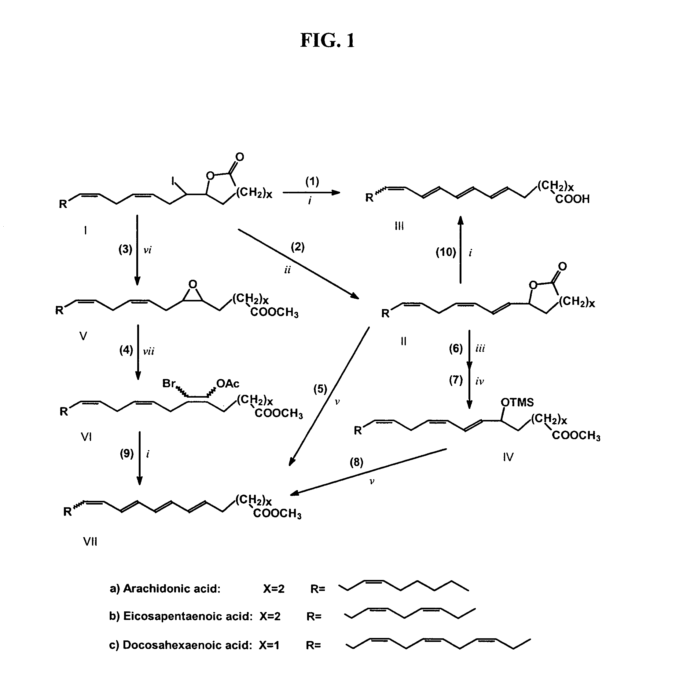 Synthesis of polyconjugated fatty acids