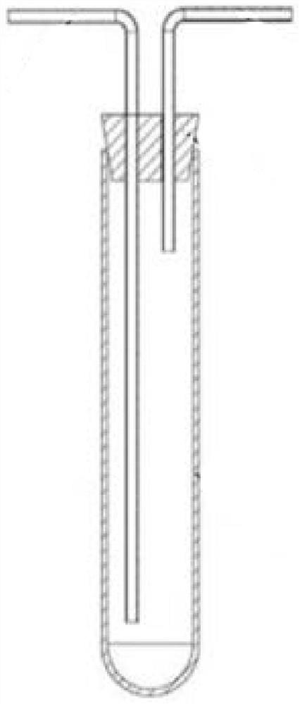 Micro-liquid sample introduction device for centrifugal tube and use method of micro-liquid sample introduction device